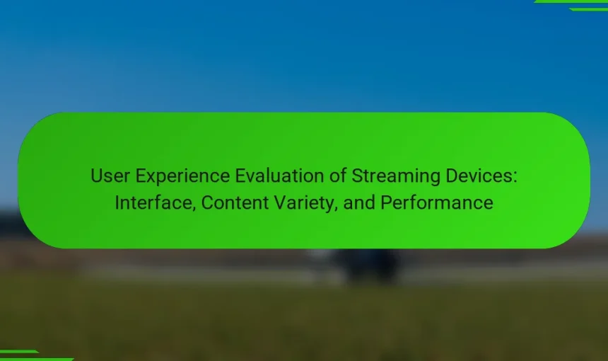 User Experience Evaluation of Streaming Devices: Interface, Content Variety, and Performance