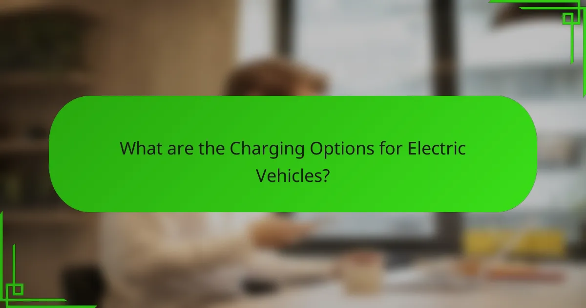 What are the Charging Options for Electric Vehicles?